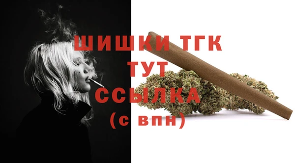 дживик Новодвинск
