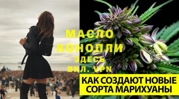 альфа пвп Нязепетровск