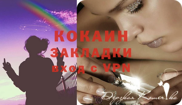 дживик Новодвинск