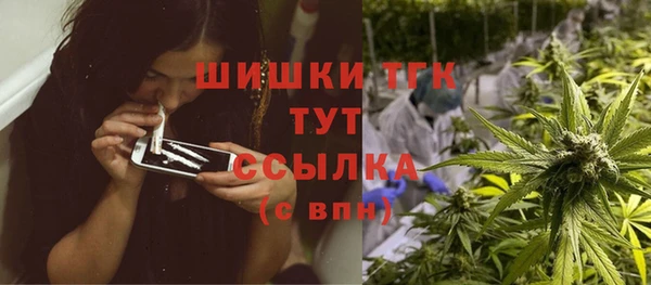 дживик Новодвинск