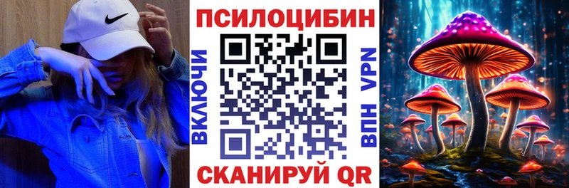 это клад  Заинск  Псилоцибиновые грибы Magic Shrooms 