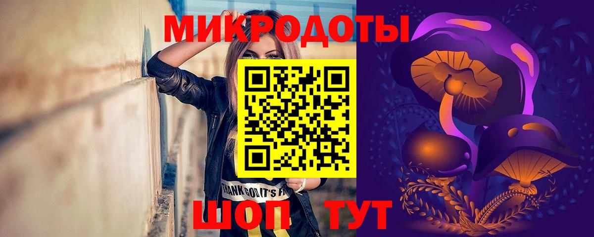 Псилоцибиновые грибы мицелий  Вход с VPN  Заинск  Галлюциногенные грибы GOLDEN TEACHER 
