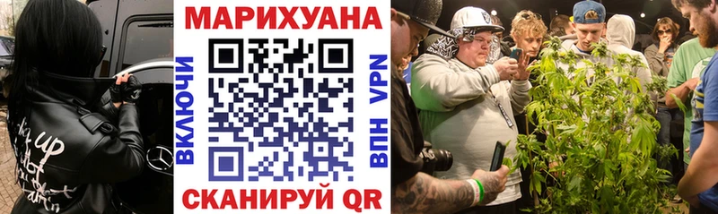 blacksprut tor  купить наркотики цена  даркнет клад  Шишки марихуана план  Заинск 